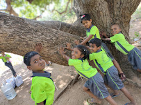 Outdoor Nature Study & Tree Appreciation Day